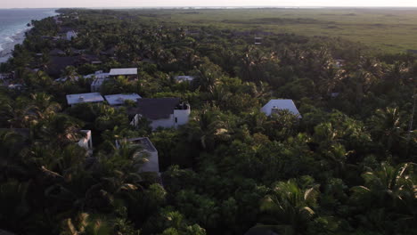 Toma-Aérea-De-Arriba-Hacia-Abajo-De-Palmeras-Con-Cabañas-Y-Cabañas-En-Una-Playa-De-Arena-Blanca,-Océano-Azul-Cristalino-En-Tulum,-México