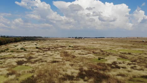 natural landscape with a busy national road in the distance