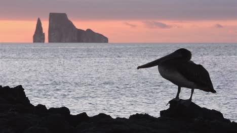 Pelican-silhouette-and-Leon-Dormido-from-Cerro-Brujo-on-San-Cristobal-Island-in-the-Galapagos-National-Park-1