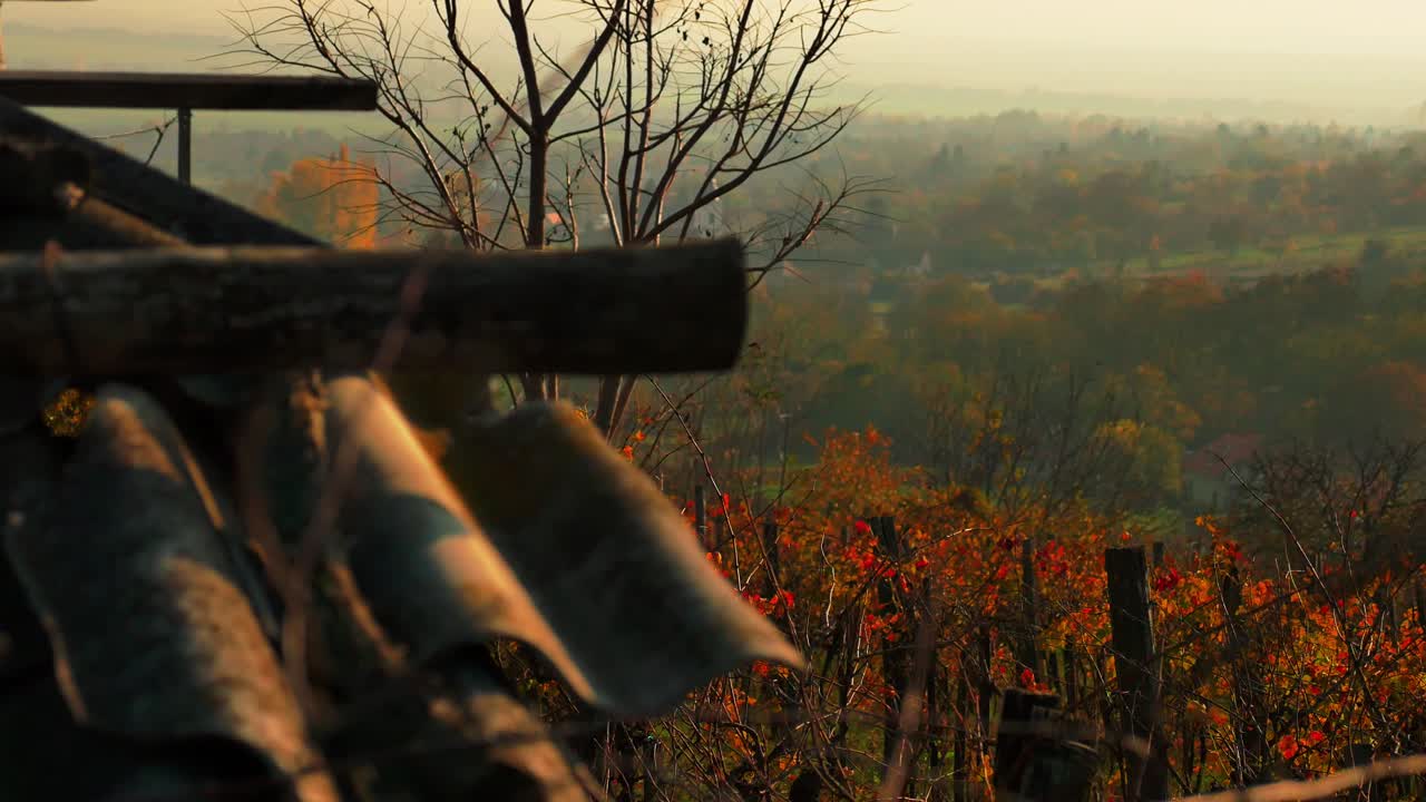 Weinberge mit einem alten Dach im Vordergrund 02