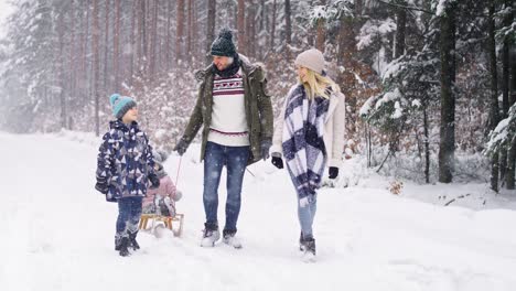 Video-Von-Eltern-Mit-Kindern,-Die-Im-Gefrorenen-Winterwald-Spazieren-Gehen