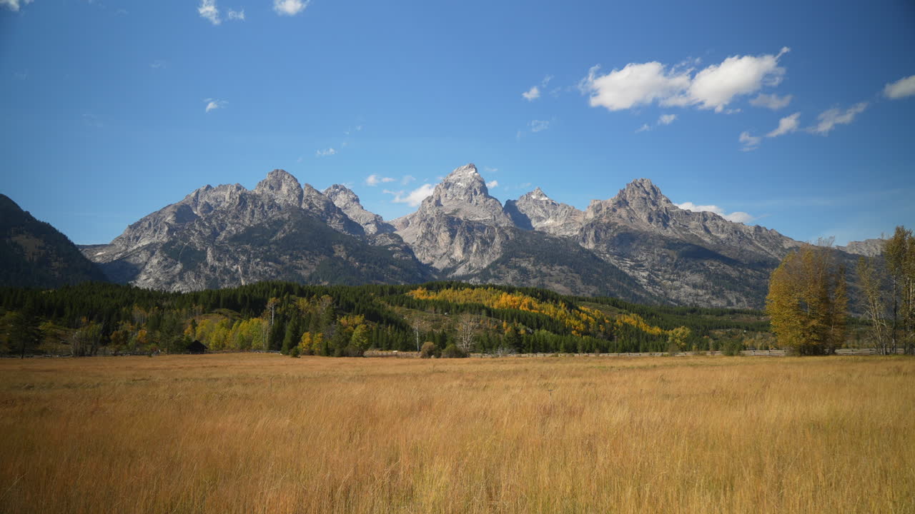 Cinematic slider right motion Grand Teton National Park entrance Blacktail Ponds Overlook wind in tall grass fall Aspen golden yellow trees Jackson Hole Wyoming mid day beautiful blue sky no snow peak