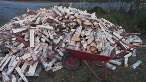 Man-Collecting-Chopped-Firewoods-On-The-Red-Wheelbarrow