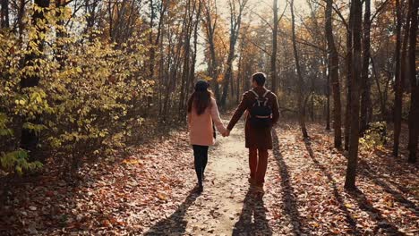 couple walking hand in hand in autumn forest