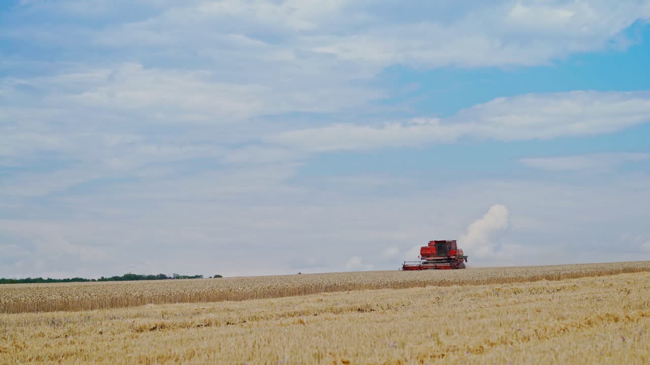Harvest time. A combine harvester working in a wheat field