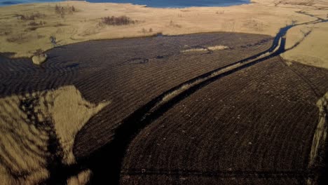 Vista-Aérea-Del-Lago-Cubierto-De-Juncos-Marrones,-Parque-Natural-Del-Lago-Pape,-Rucava,-Letonia,-Día-Soleado-De-Primavera,-Tiro-De-Drones-De-Ojo-De-Pájaro-De-Gran-Angular,-Panorama-A-La-Derecha