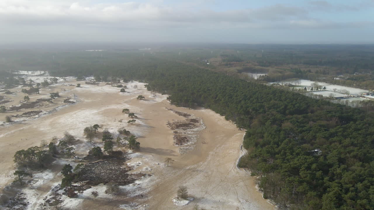 Ripresa aerea dall'alto di dune di sabbia in inverno vicino ai margini della foresta.