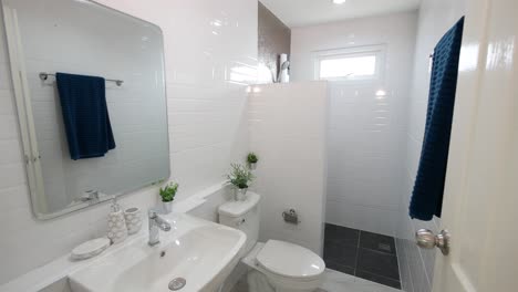 Clean-and-White-Toilet-with-Shower-Area