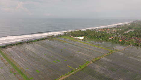 Along-coastline,-Paddy-fields-serene-and-reflective-landscape