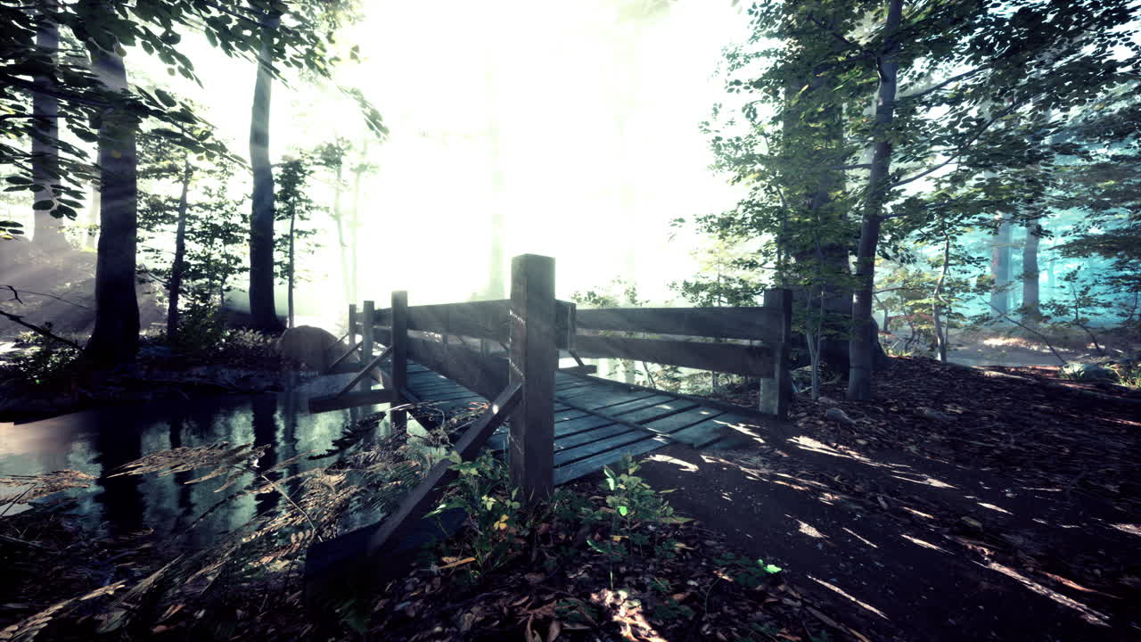 안개 속의 신비로운 오래된 나무 다리