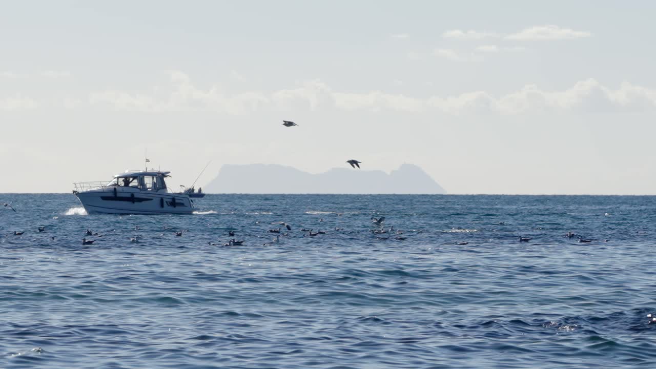 Mediterranean sea, birds, small boats and Gibraltar on the background