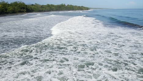 AERIAL---Distant-surfer-almost-catches-a-wave-with-green-forest-in-the-background