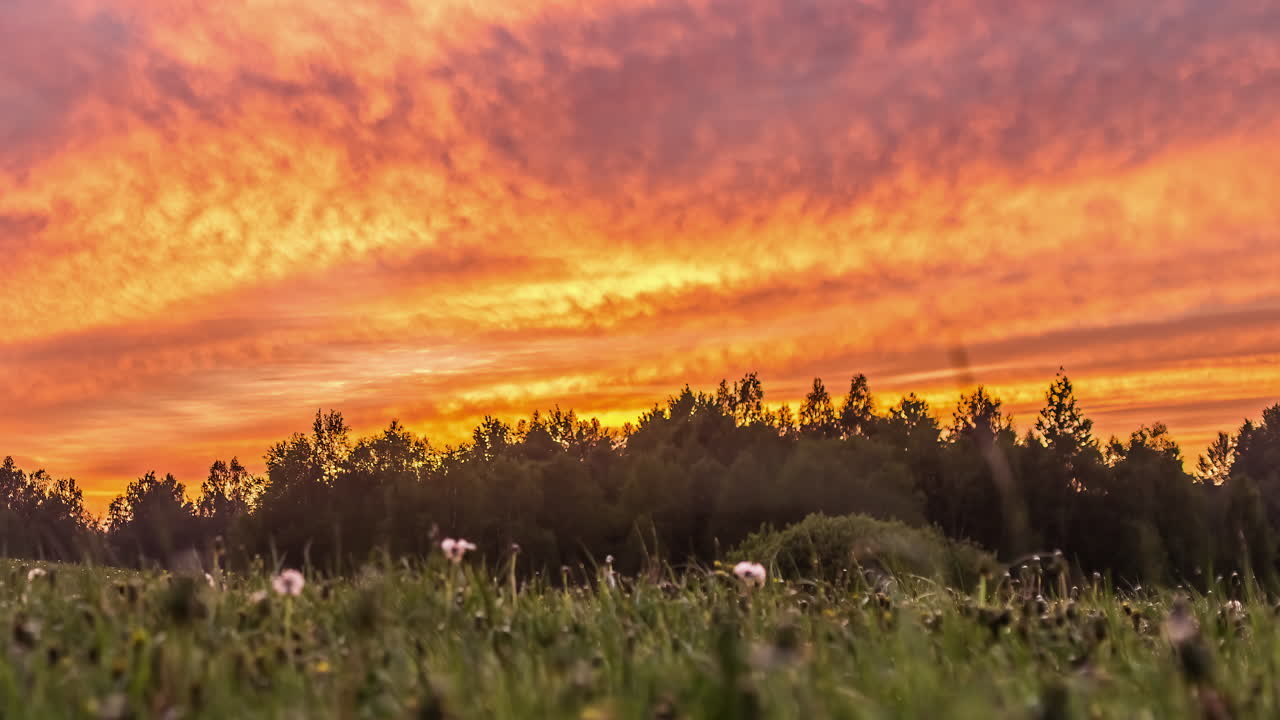 lapso de tiempo de ángulo bajo de oro naranja en movimiento