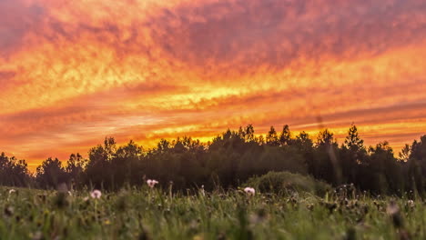 Low-angle-time-lapse-of-moving-orange-golden