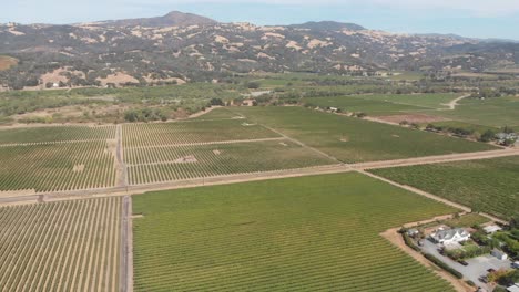 Antena-De-Los-Campos-De-Vino-Del-Valle-De-Sonoma