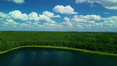 lake ends with endless forest landscape, aerial drone view