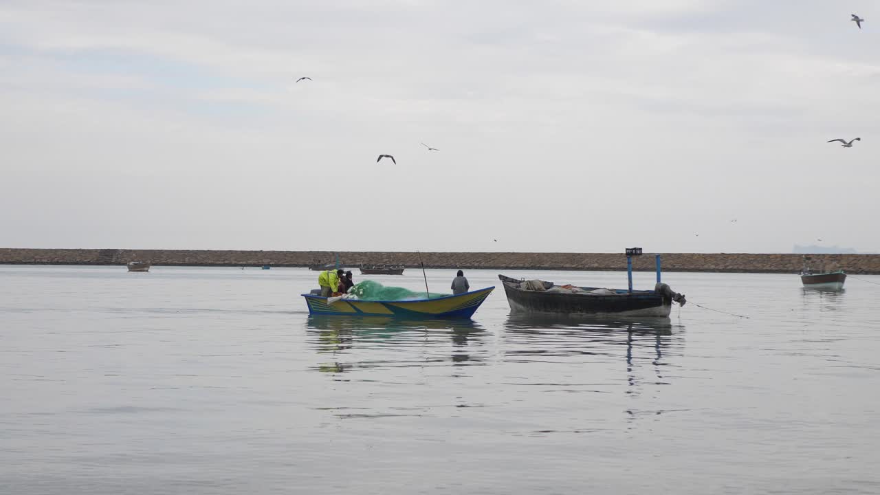 Pequeño barco de pesca pasando con gaviotas volando por encima en Gwadar, en la costa de Baluchistán