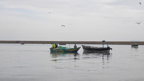 small fishing boat going past with seagulls flying overhead at gwadar on coast of balochistan