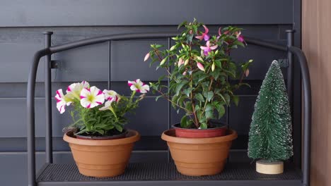 flores en maceta y una decoración de árbol de navidad