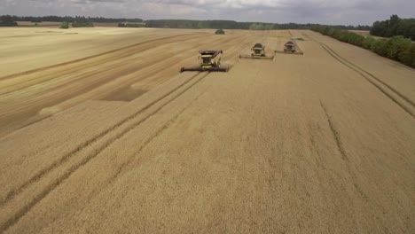 Toma-Aérea-De-Tres-Cosechadoras-Recogiendo-Trigo-Durante-La-Temporada-De-Cosecha