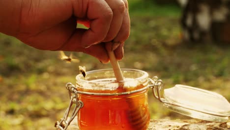 person dipping honey with wooden stick into a jar