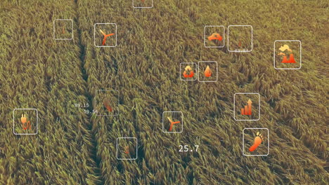 showing aerial wheat field featuring sustainability icons and floating numeric labels along track
