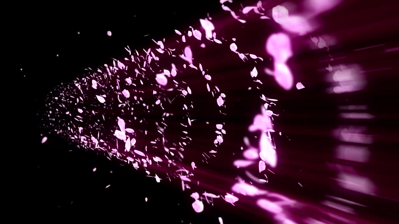 꽃의 나선형 반이는 입자, 사쿠라 패턴, 일본의 꽃 춤, 분홍색 꽃잎의 소용돌이, 추상적인 루프 애니메이션.