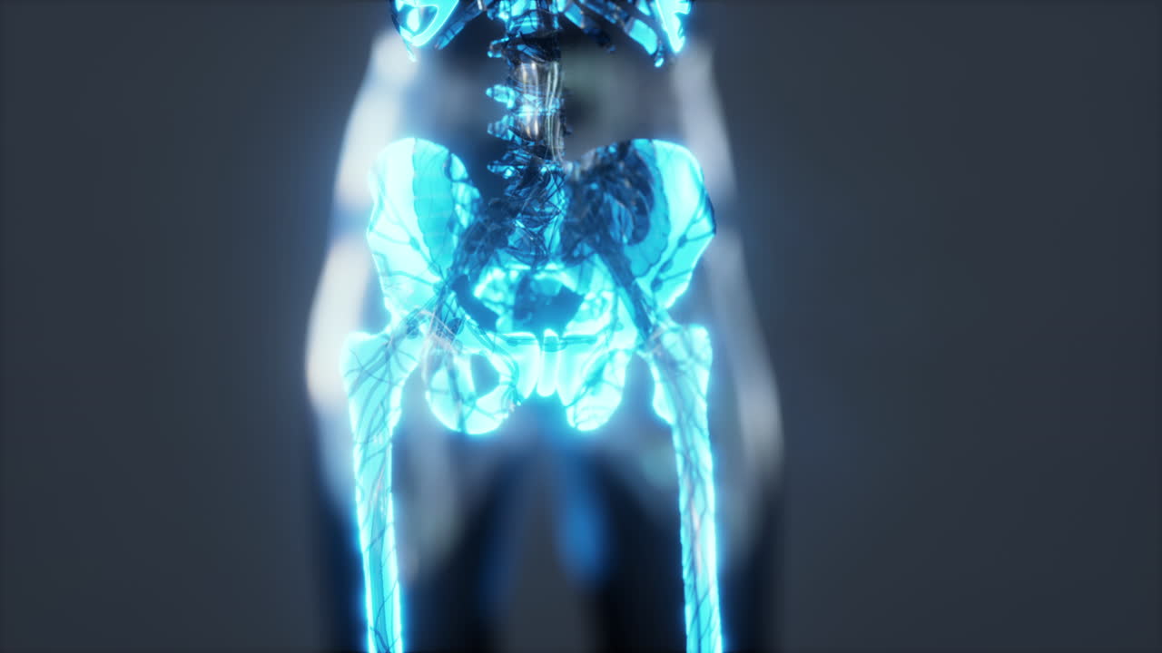 X-ray full body of skeleton in brightness glow
