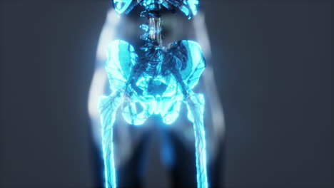 X-ray-full-body-of-skeleton-in-brightness-glow