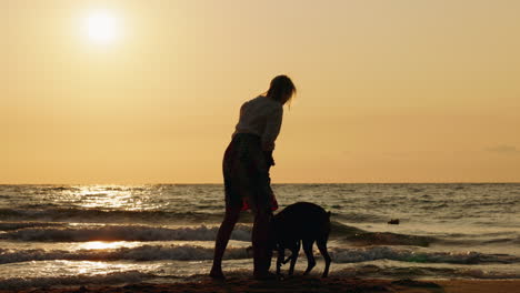 woman and dog silhouetted on a beach at sunset
