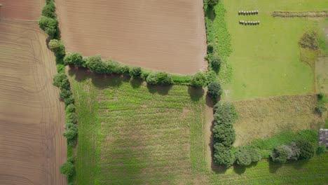 Paisaje-Rural-Bretón-Con-Nubes,-Sombras-Sobre-Campos-Cultivados-Y-Granjas.