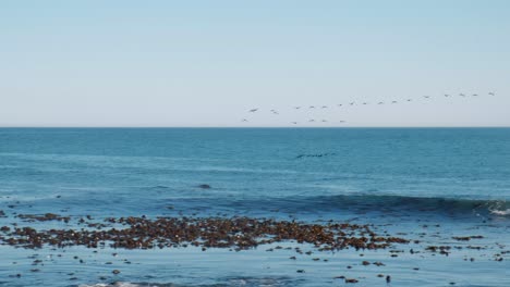 Toma-Panorámica-De-Un-Grupo-De-Pájaros-Volando-En-Formación-Sobre-El-Océano-A-Lo-Lejos