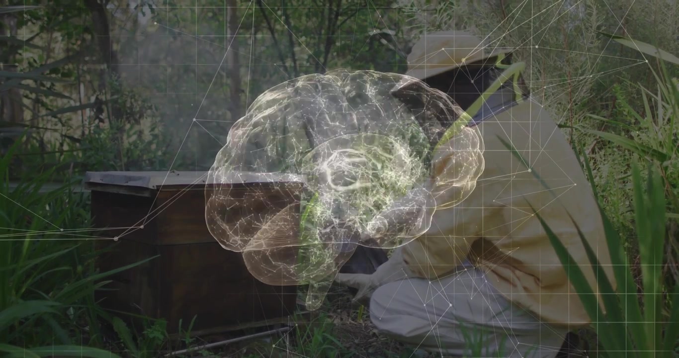 Senior beekeeper kneeling, puffing smoke lifting hive lid checking colony with brain hologram in IT