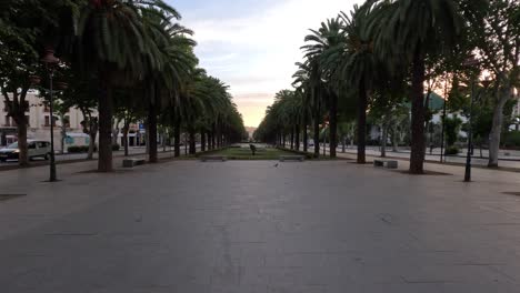 Stroll-along-city-streets-with-palm-trees-under-a-brilliant,-sunny-blue-sky