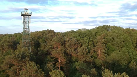 torre de vigilancia de acero y vasto y majestuoso paisaje forestal, toma de revelación aérea