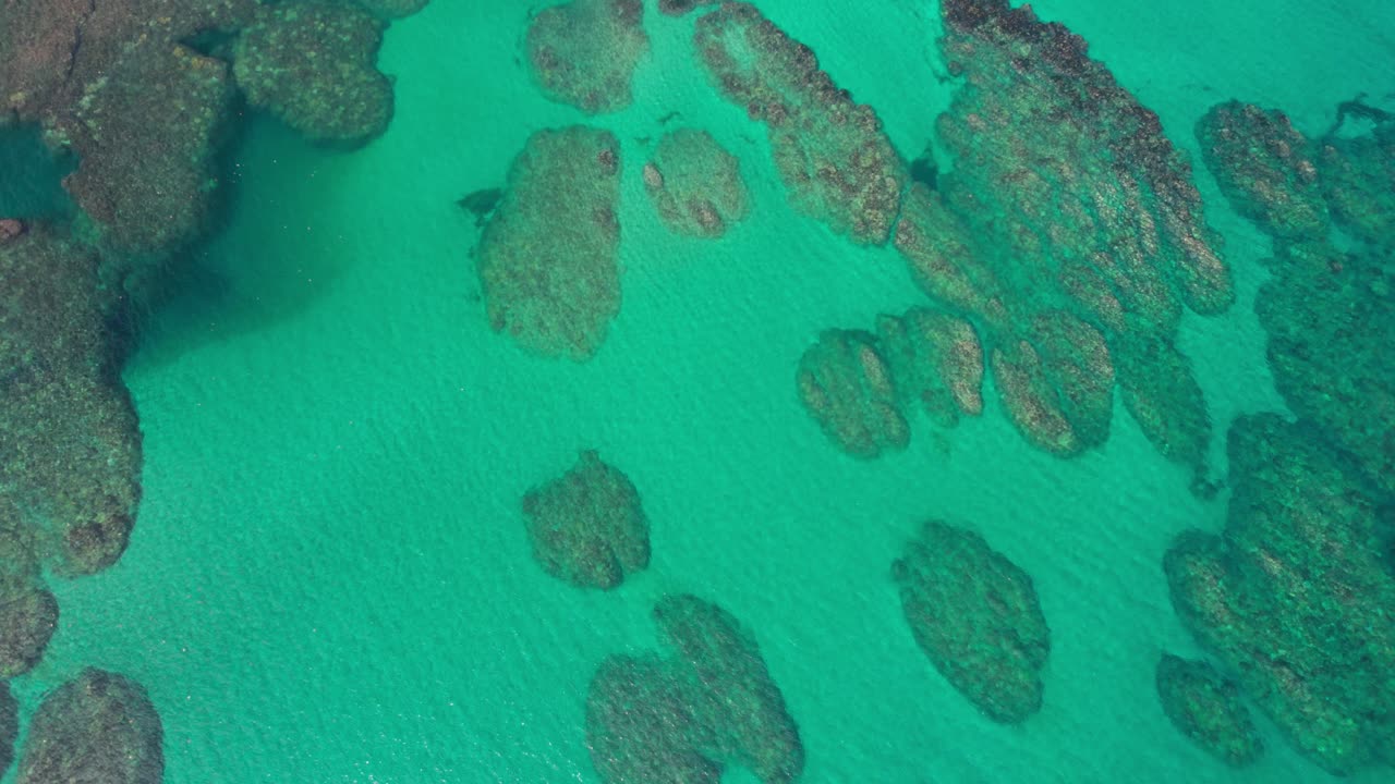 Top down aerial shot rotating above coral reef structures in crystal-clear waters of Puerto Viejo beach, Costa Rica, midday light.