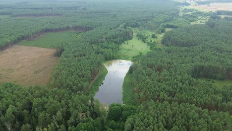 Lago-En-El-Bosque-Europeo-Verde-Vuelo-Aéreo-Circulando-Hacia-La-Derecha