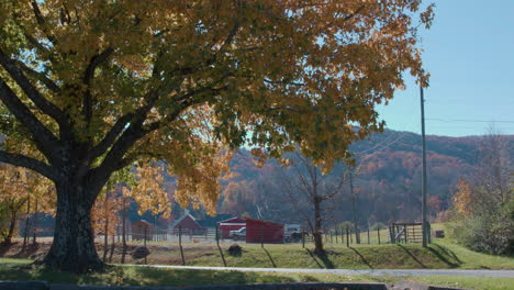 Baum-Mit-Herbstblättern-Mit-Bauernhof-Im-Hintergrund