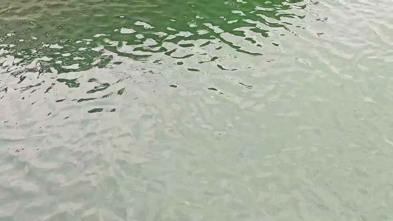 穏やかなさざ波、明るい水面の反射、柔らかな波模様が特徴の澄んだ緑色の湖水の抽象的な眺め。自然の背景、旅行の映像、または穏やかな屋外の風景に。