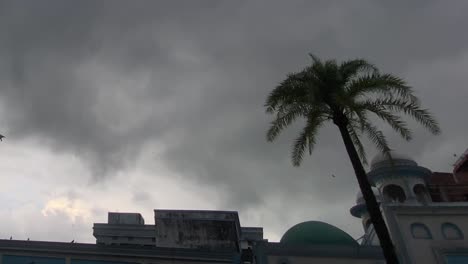 footage of a mosque surrounded by palm trees, with birds fluttering around in the sky