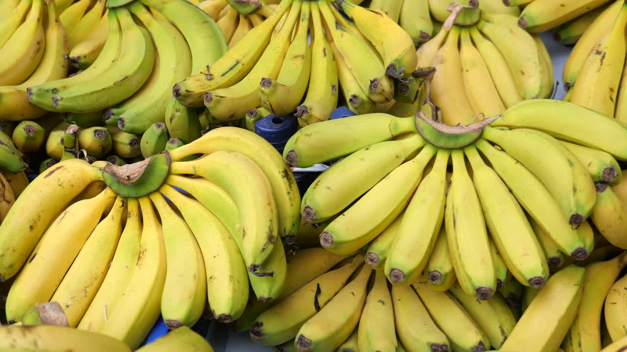 익은 노란 바나나 한 어리