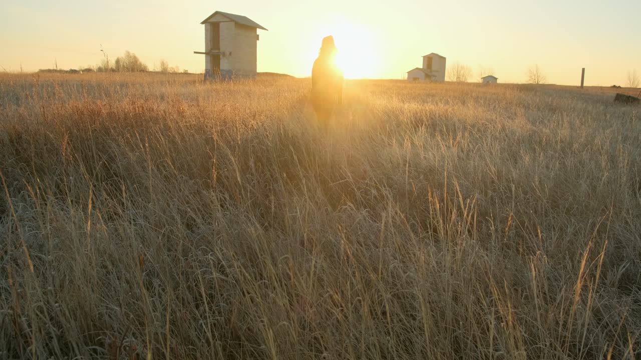 Sunrise Walk Through a Frozen Field