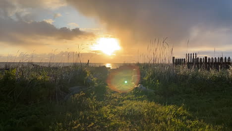 estados unidos, hora dorada sobre el parque nacional olímpico en el área recreativa nacional de dungeness, sequim, washington