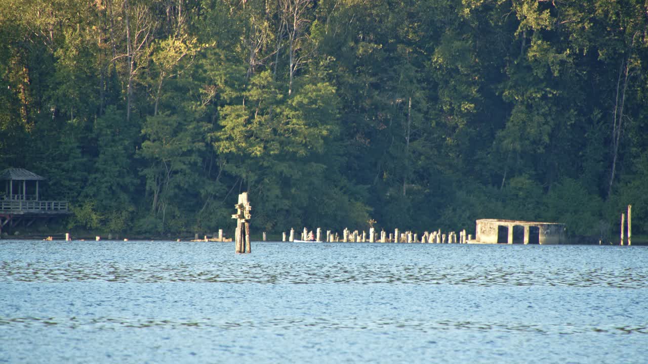 포트 변덕스러운 숲, 물 4k, 60fps의 거짓 크릭 오래된 부두