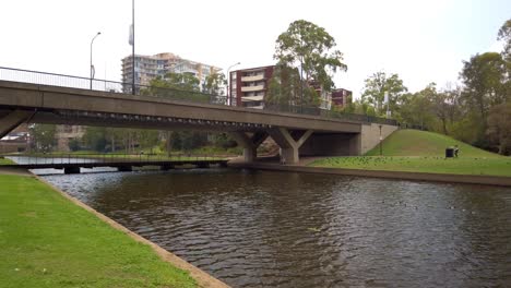 calmante vista de un pequeño canal con pájaros bajo el puente en el parque con la hierba verde