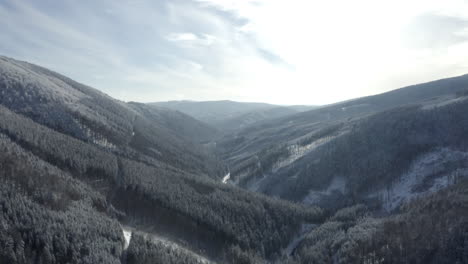 Aerial-Shot-Of-Beautiful-Boreal-Forest-Wilderness-In-Winter,-Snow-Covered-Trees-And-Mountains