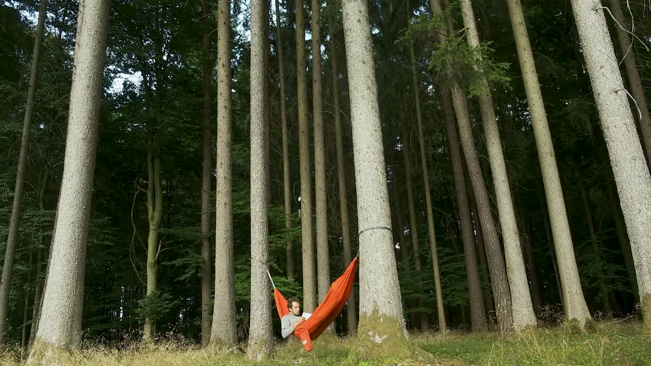 A wide, low-angle shot of a person relaxing in a bright orange hammock strung between tall, straight trees in a dense forest. A perfect scene of peace and solitude