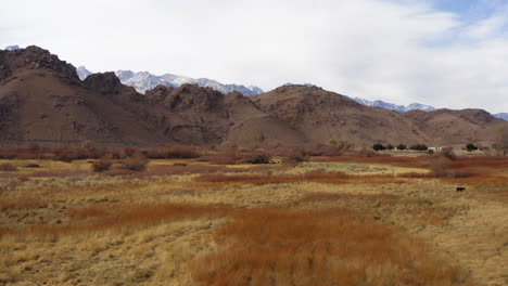 Pastizales-Secos-Del-Desierto-En-La-Sierra-Oriental-Con-Montañas-A-Lo-Lejos