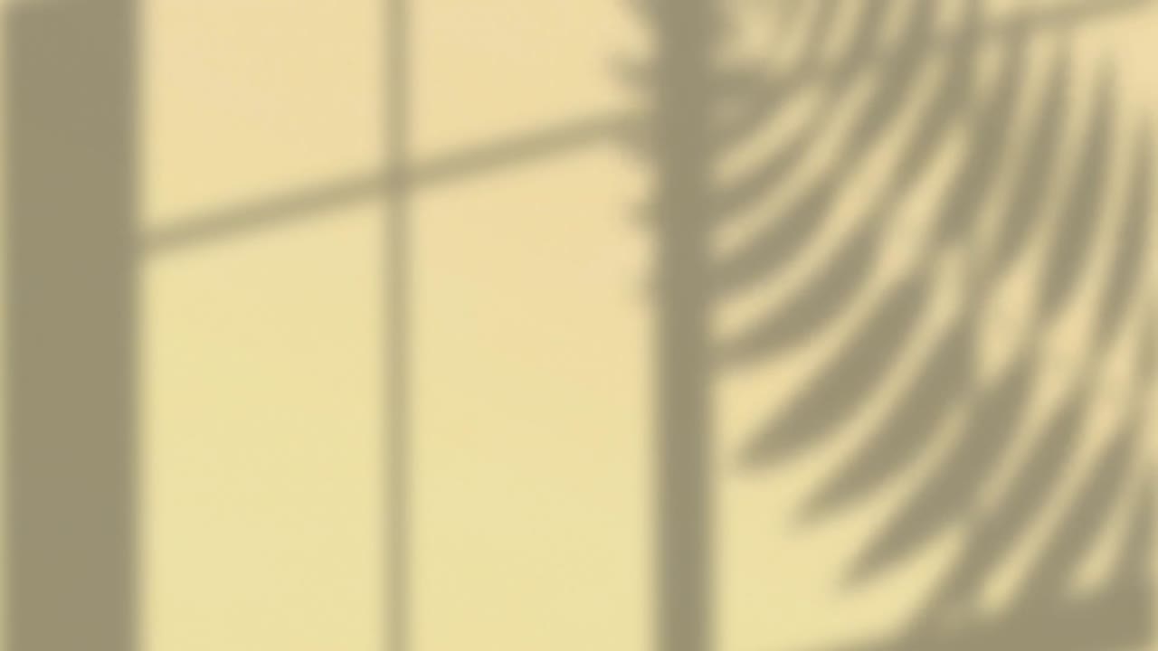 Animation of window frame and plant leaf shadows moving on cream wall background