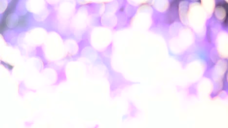 abstracto aislado borroso luces festivas hojas de plantas sombra balanceándose en el viento con rosa pastel colorido tono sombra abstracto fondo borroso,